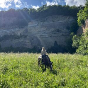 2-daagse paardrijtocht door het Archeologisch Park van de Tufsteden Toscane - Italië - Afbeelding 4
