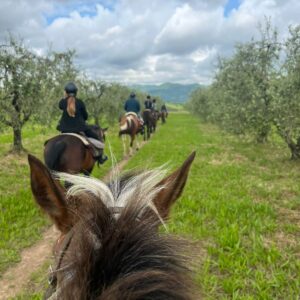 2-daagse paardrijtocht door het Archeologisch Park van de Tufsteden Toscane - Italië - Afbeelding 6