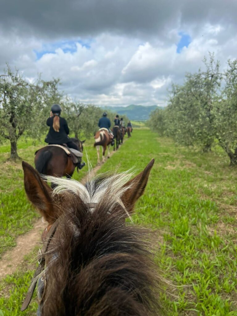 Buitenritten in de ongerepte natuur van Maremma Toscane - Italië