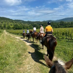 Korte paardrijritten in de ongerepte natuur van Maremma Toscane - Italië
