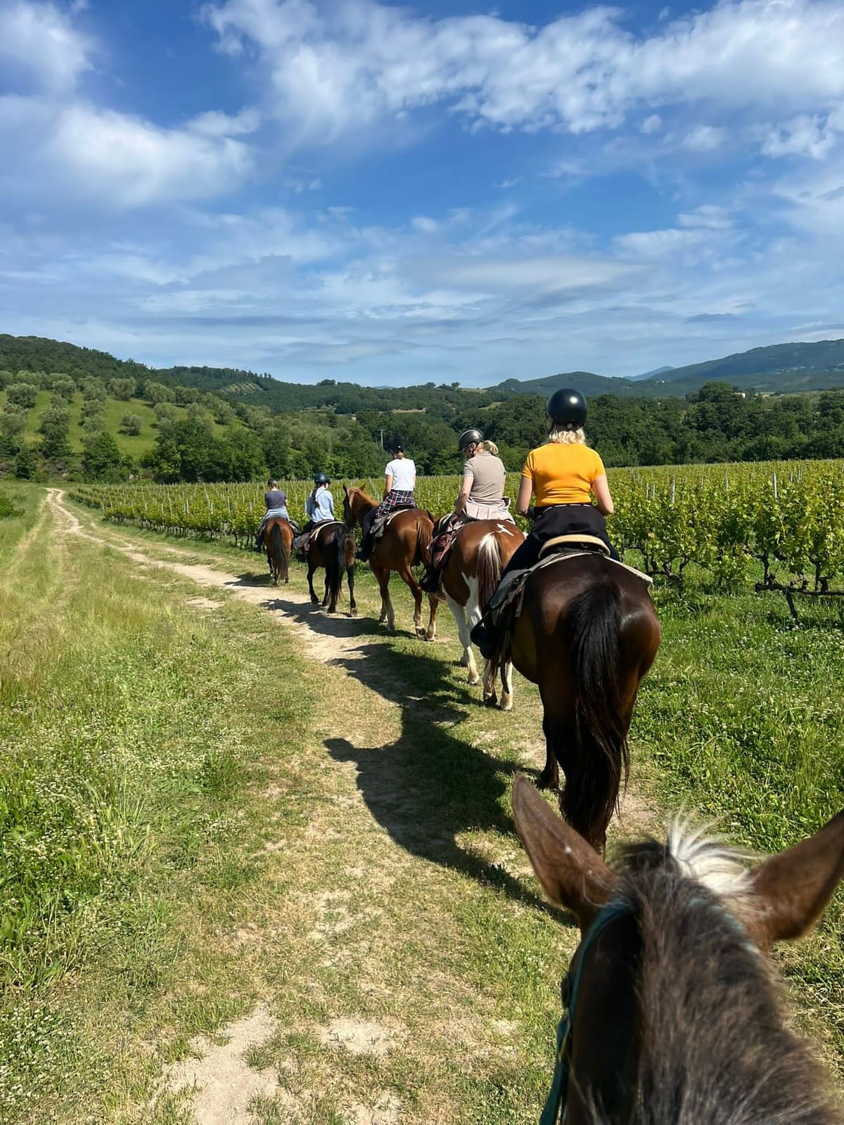 6-daagse paardrijtocht naar 6 verschillende prachtige dorpen Toscane - Italië - Afbeelding 5