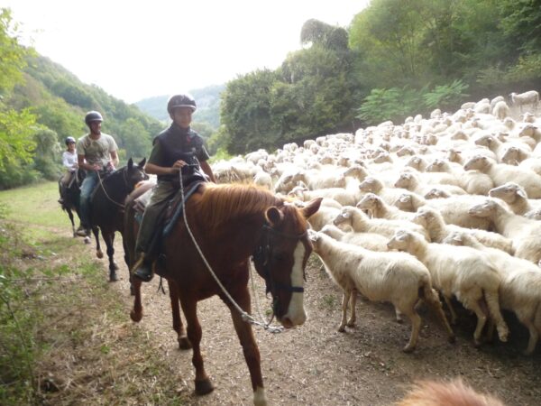 2-daagse paardrijtocht door het Archeologisch Park van de Tufsteden Toscane - Italië