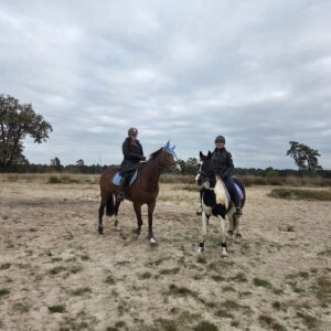 Met je eigen paard op vakantie Loonse en Drunense Duinen Noord-Brabant - Nederland