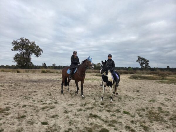 Met je eigen paard op vakantie Loonse en Drunense Duinen Noord-Brabant - Nederland