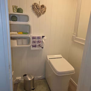 Bezoek aan de Lyngen paardenboerderij (evt. met overnachting) in Tromsø - Noorwegen - Afbeelding 7