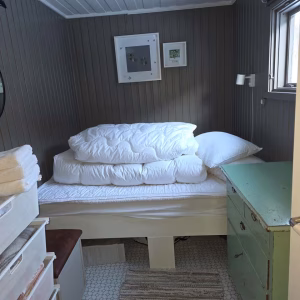 Bezoek aan de Lyngen paardenboerderij (evt. met overnachting) in Tromsø - Noorwegen - Afbeelding 11