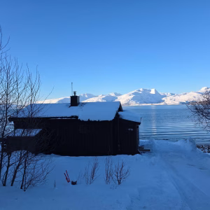 Bezoek aan de Lyngen paardenboerderij (evt. met overnachting) in Tromsø - Noorwegen - Afbeelding 12
