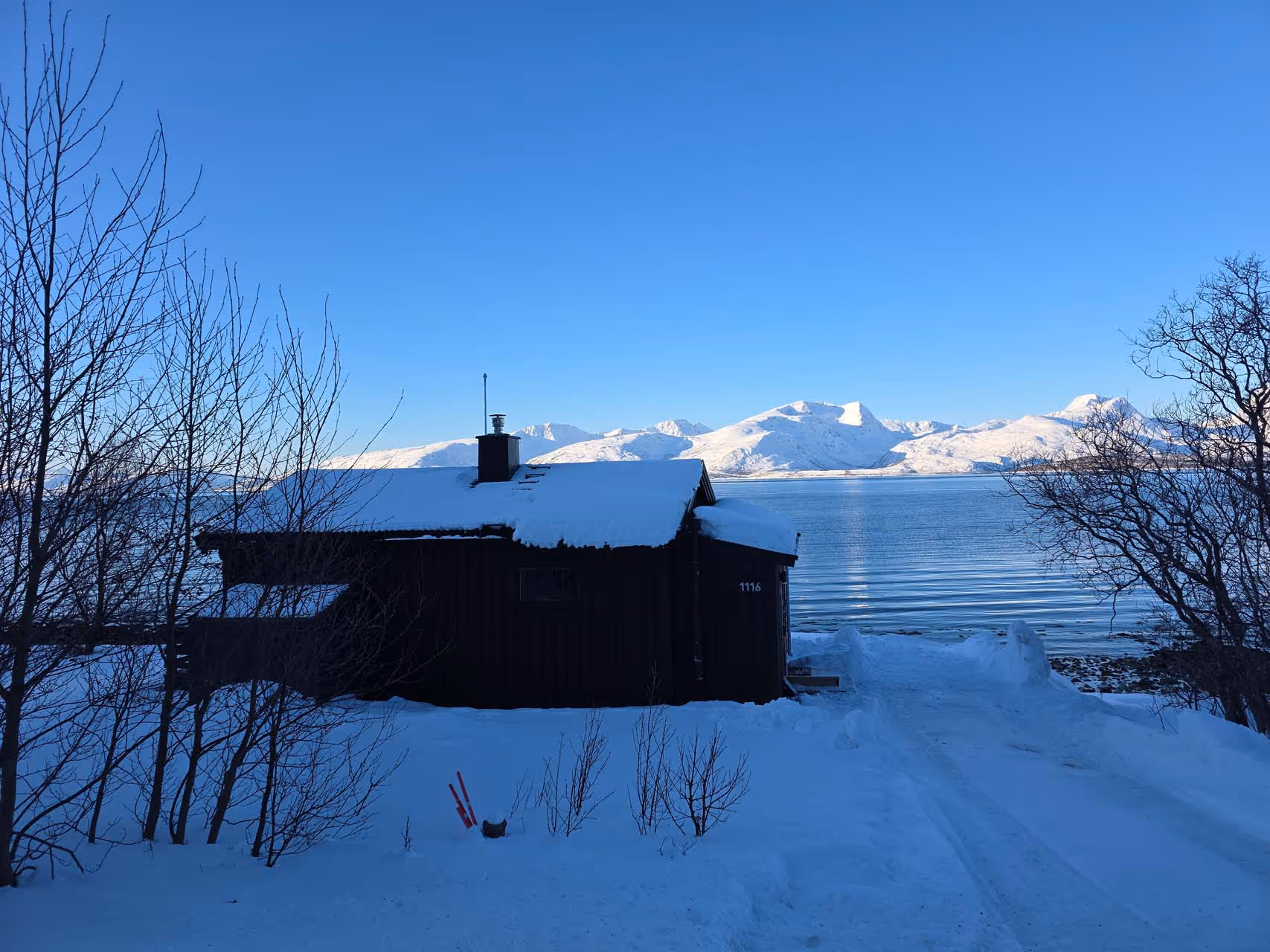 Bezoek aan de Lyngen paardenboerderij (evt. met overnachting) in Tromsø - Noorwegen - Afbeelding 12