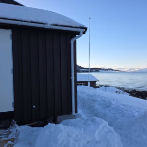 Bezoek aan de Lyngen paardenboerderij (evt. met overnachting) in Tromsø - Noorwegen - Afbeelding 10