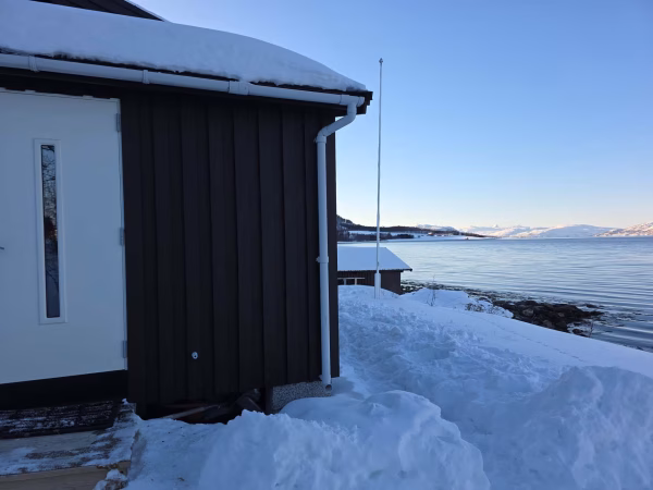 Bezoek aan de Lyngen paardenboerderij (evt. met overnachting) in Tromsø - Noorwegen