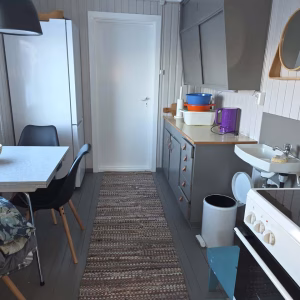 Bezoek aan de Lyngen paardenboerderij (evt. met overnachting) in Tromsø - Noorwegen - Afbeelding 8