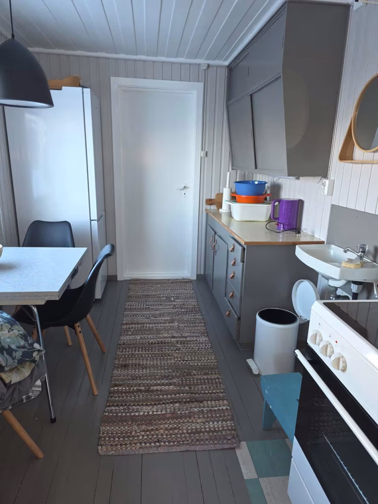 Buitenrit onder het noorderlicht (evt. met overnachting) bij Tromsø - Noorwegen