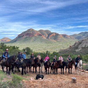 4-daagse paardrijtocht Swartberg Mountains - Klein Karoo - Afbeelding 10