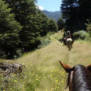 Ranchvakantie met verschillende ritten/tochten in Pucón - Chili - Afbeelding 40