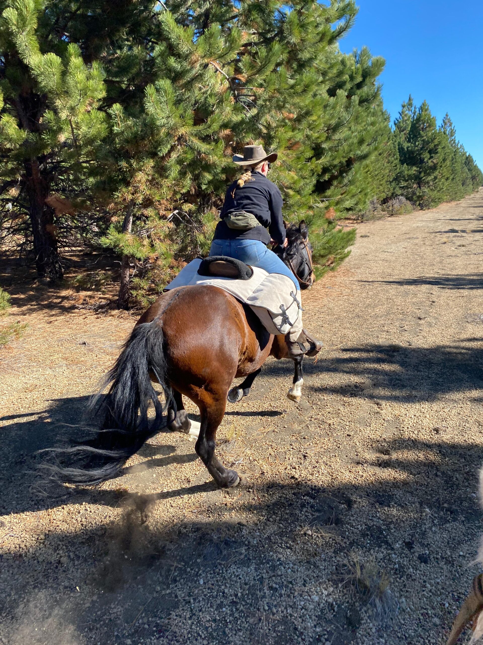 Ranchvakantie met verschillende ritten/tochten in Pucón - Chili - Afbeelding 37