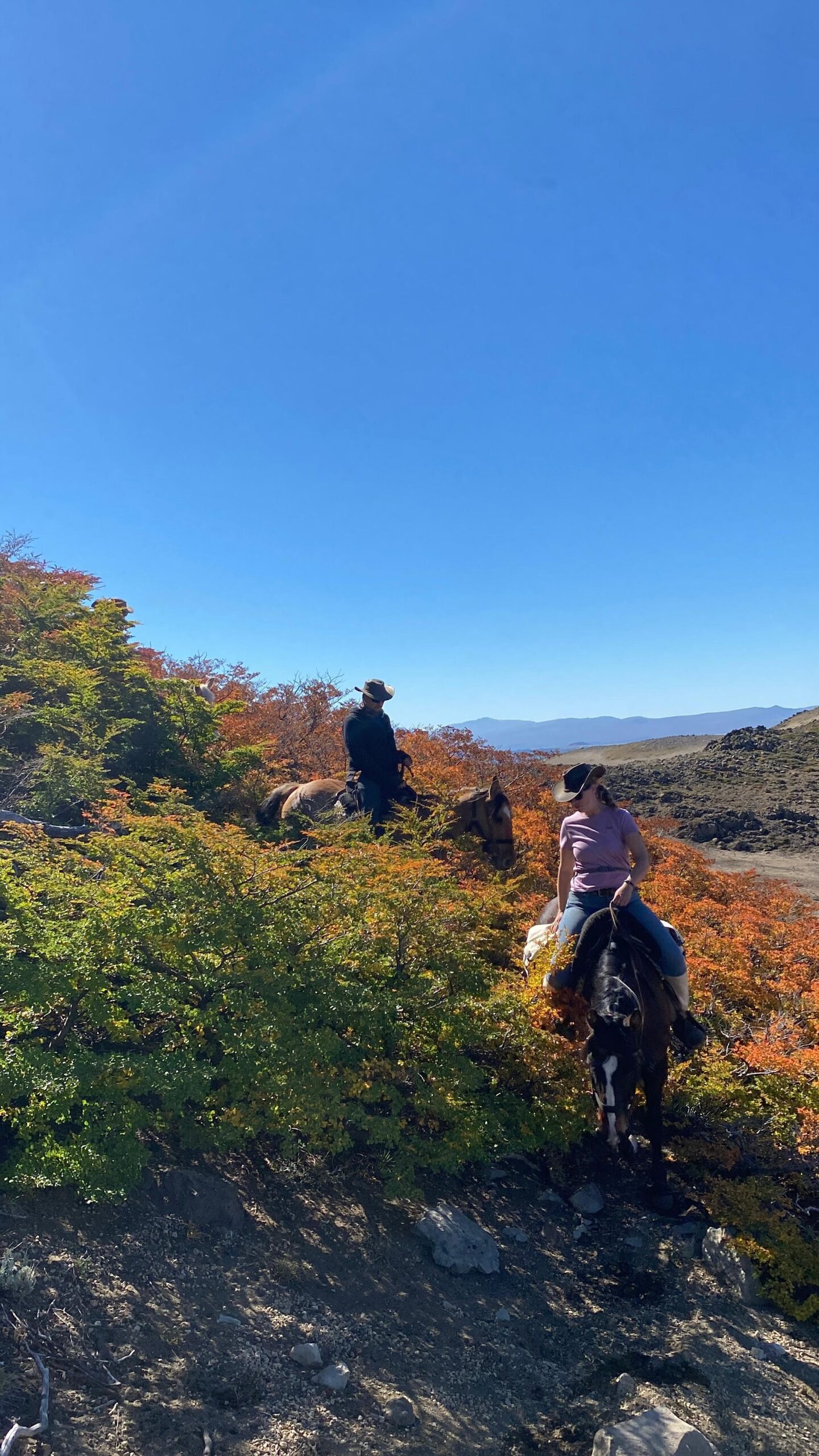 Ranchvakantie met verschillende ritten/tochten in Pucón - Chili - Afbeelding 36