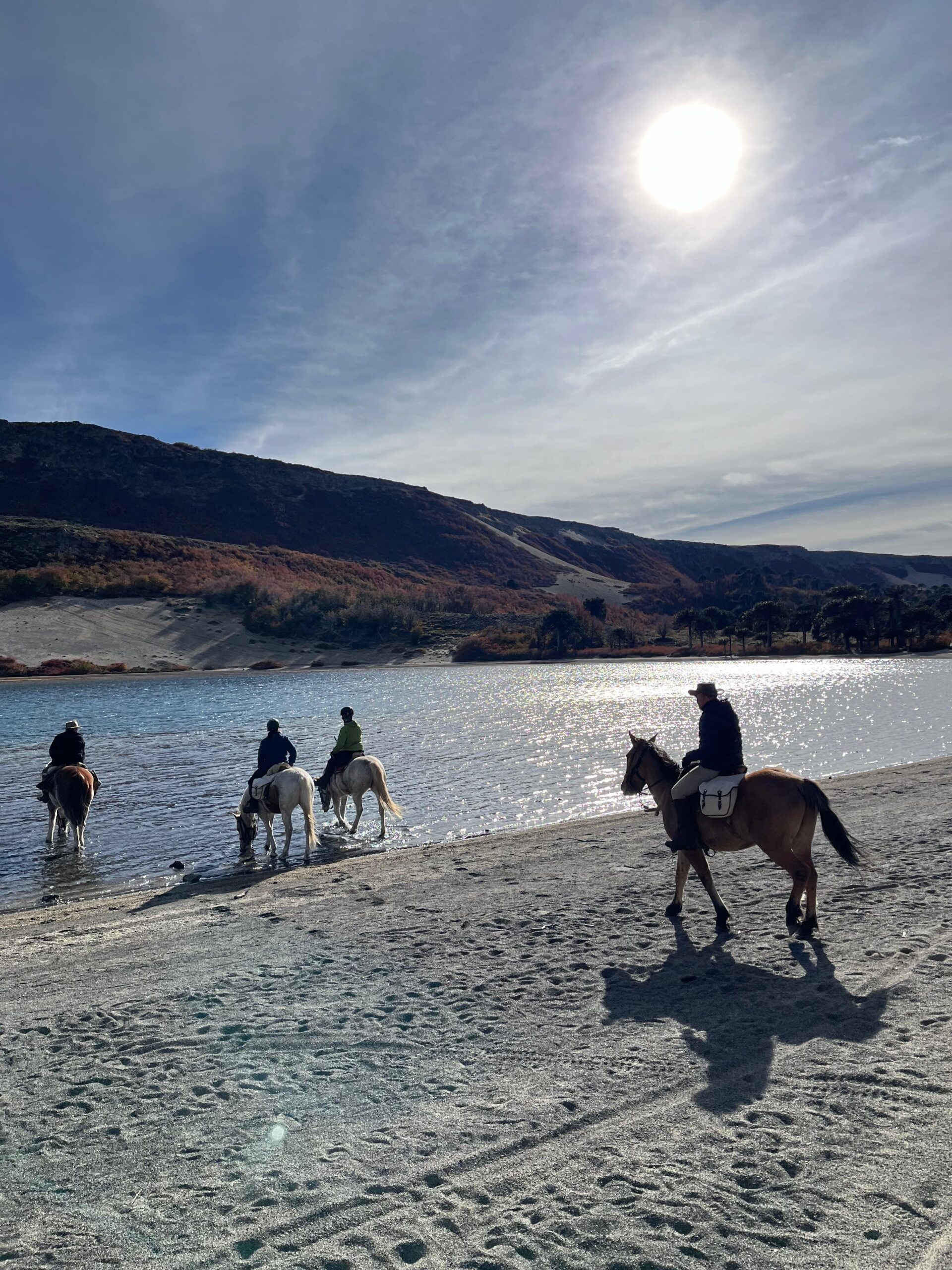 Ranchvakantie met verschillende ritten/tochten in Pucón - Chili - Afbeelding 35