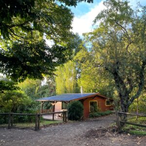 Ranchvakantie met verschillende ritten/tochten in Pucón - Chili - Afbeelding 34