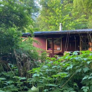 Ranchvakantie met verschillende ritten/tochten in Pucón - Chili - Afbeelding 31