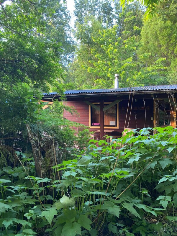 Ranchvakantie met verschillende ritten/tochten in Pucón - Chili