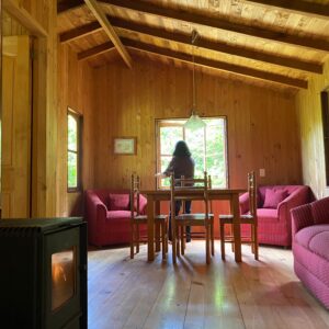 Ranchvakantie met verschillende ritten/tochten in Pucón - Chili - Afbeelding 29