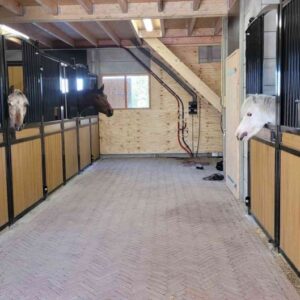 Met je eigen paard op vakantie in het Drents-Friese Wold Drenthe- Nederland - Afbeelding 5