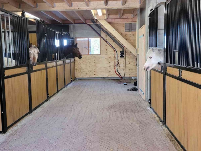 Met je eigen paard op vakantie in het Drents-Friese Wold Drenthe- Nederland - Afbeelding 5