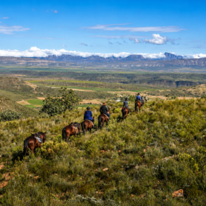 8-daagse paardrijtocht van de Klein Karoo naar de stranden van de Garden Route.