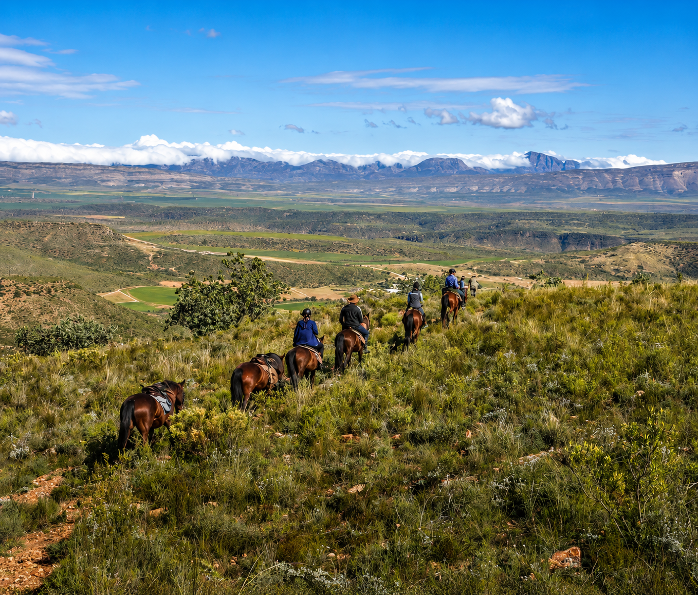 8-daagse paardrijtocht van de Klein Karoo naar de stranden van de Garden Route.