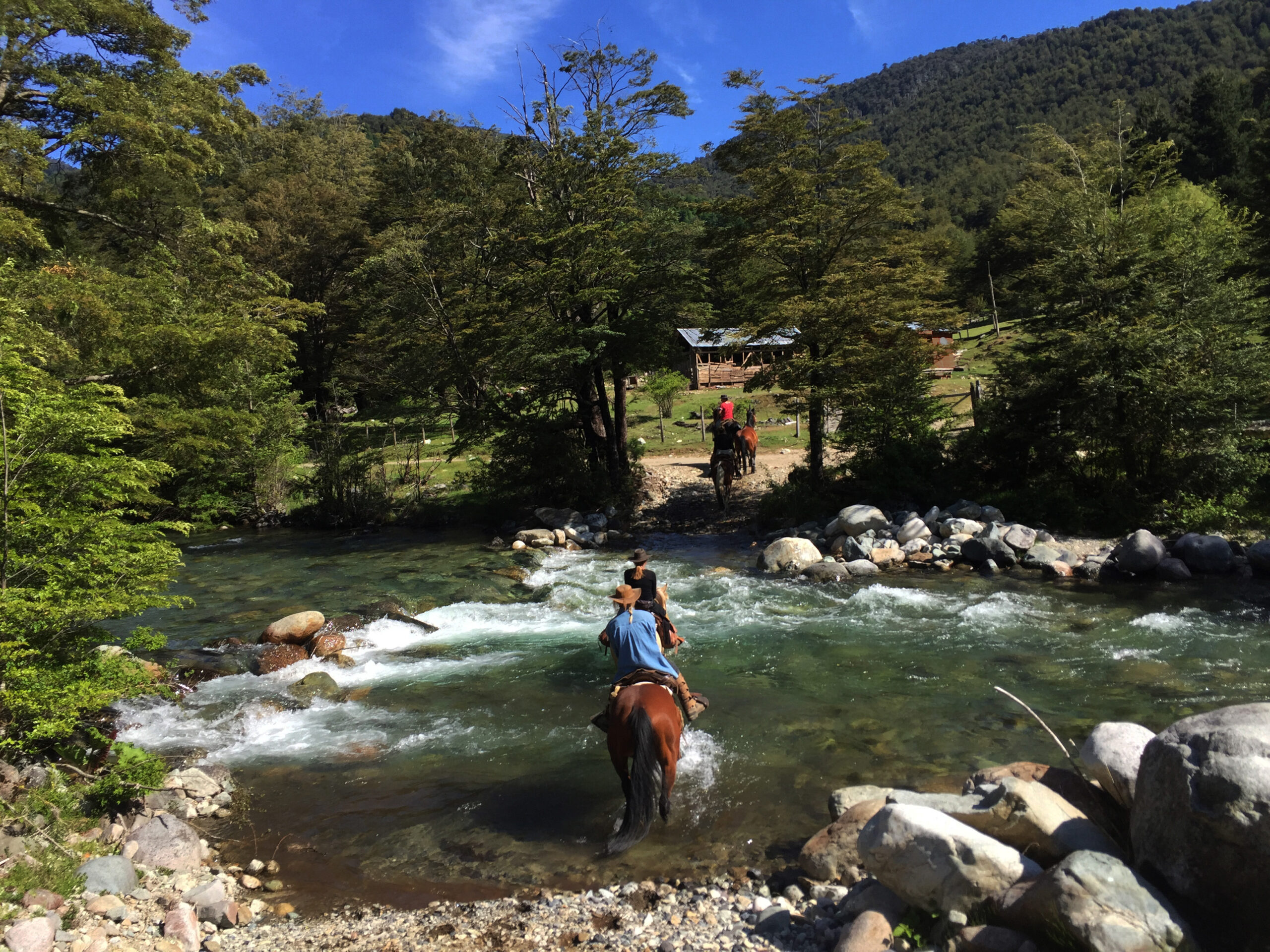 Ranchvakantie met verschillende ritten/tochten in Pucón - Chili - Afbeelding 26