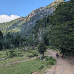 Ranchvakantie met verschillende ritten/tochten in Pucón - Chili - Afbeelding 25