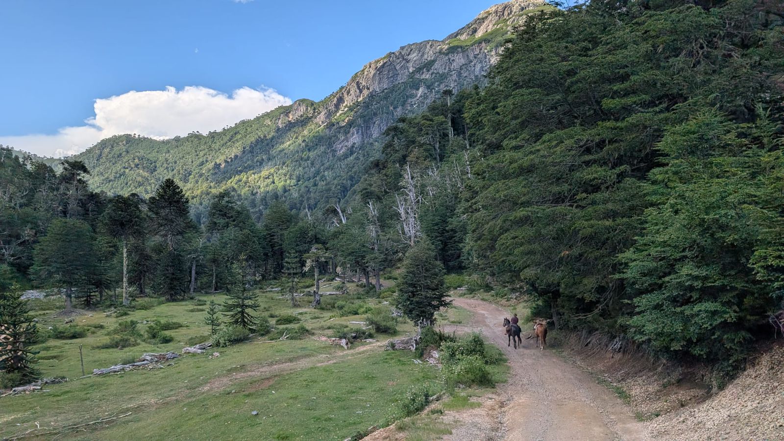 Ranchvakantie met verschillende ritten/tochten in Pucón - Chili - Afbeelding 25