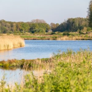 Met je eigen paard op vakantie in het hart van Noord-Limburg - Nederland - Afbeelding 10