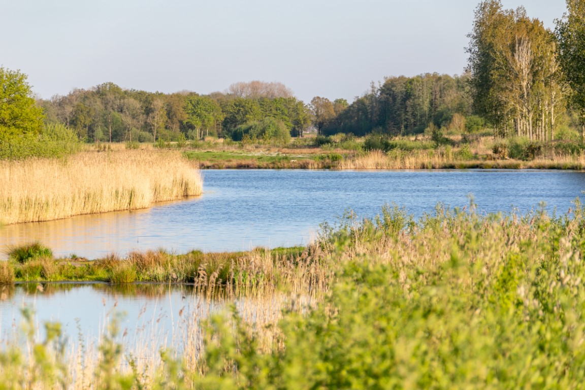 Met je eigen paard op vakantie in het hart van Noord-Limburg - Nederland