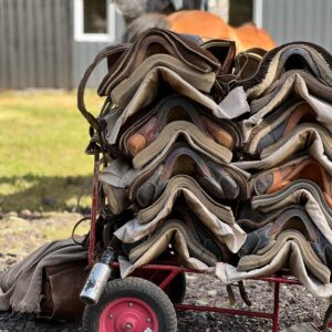 Ranchvakantie met verschillende ritten/tochten in Pucón - Chili - Afbeelding 20