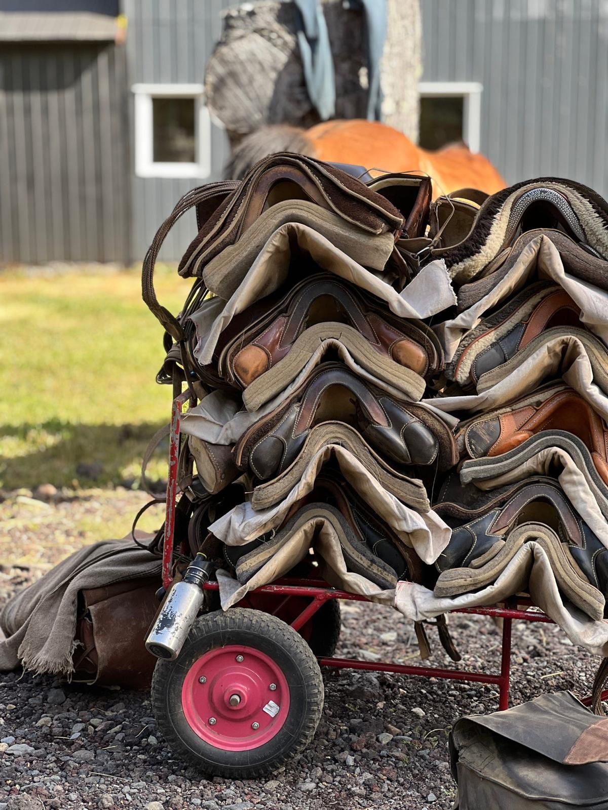 Ranchvakantie met verschillende ritten/tochten in Pucón - Chili