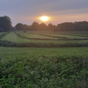 Met je eigen paard op vakantie in het hart van Noord-Limburg - Nederland - Afbeelding 22