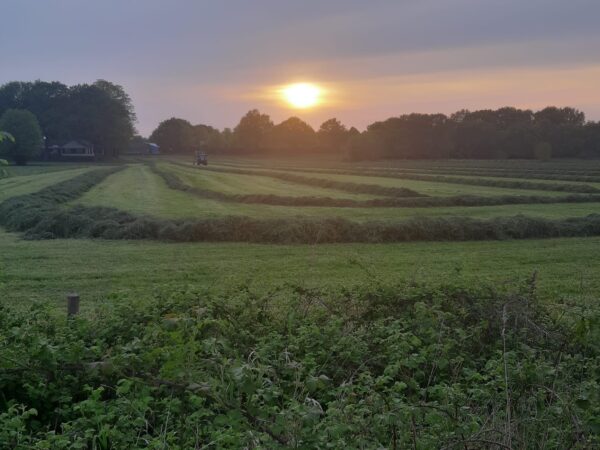 Met je eigen paard op vakantie in het hart van Noord-Limburg - Nederland