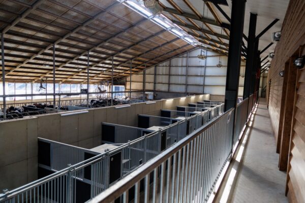 Met je eigen paard op vakantie in het hart van Noord-Limburg - Nederland