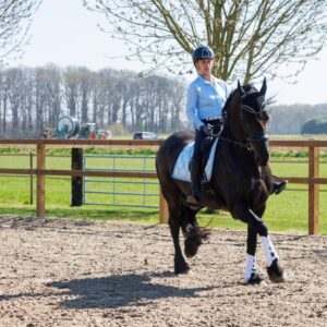 Met je eigen paard op vakantie in het hart van Noord-Limburg - Nederland - Afbeelding 6