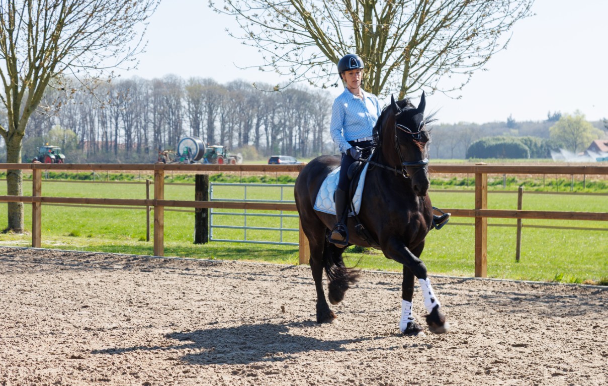 Met je eigen paard op vakantie in het hart van Noord-Limburg - Nederland
