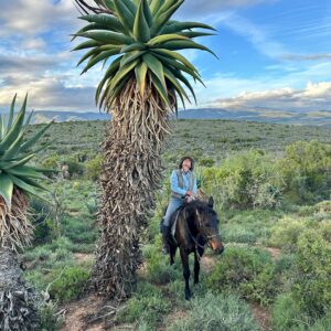 8-daagse paardrijtocht van de Klein Karoo naar de stranden van de Garden Route. - Afbeelding 17