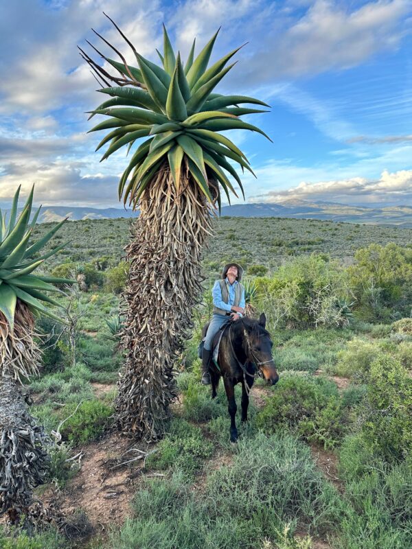 8-daagse paardrijtocht van de Klein Karoo naar de stranden van de Garden Route.