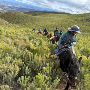 8-daagse paardrijtocht van de Klein Karoo naar de stranden van de Garden Route. - Afbeelding 12