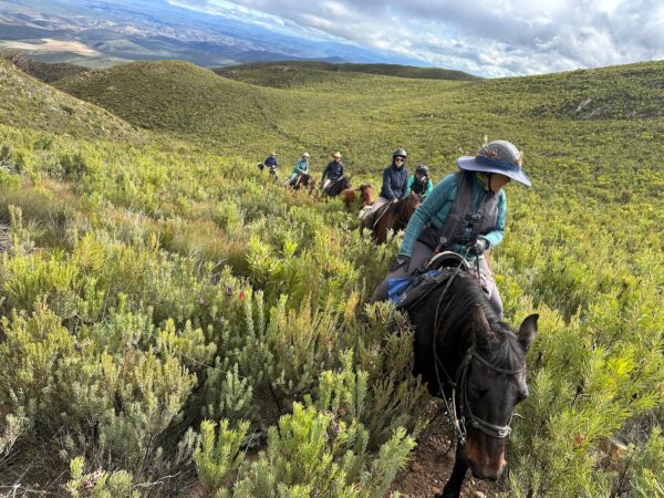 8-daagse paardrijtocht van de Klein Karoo naar de stranden van de Garden Route.