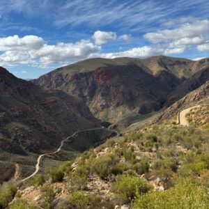 8-daagse paardrijtocht van de Klein Karoo naar de stranden van de Garden Route. - Afbeelding 11