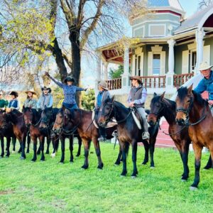 8-daagse paardrijtocht van de Klein Karoo naar de stranden van de Garden Route. - Afbeelding 2