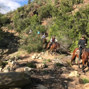 Buitenritten (evt. met overnachting) - Klein Karoo - Afbeelding 6