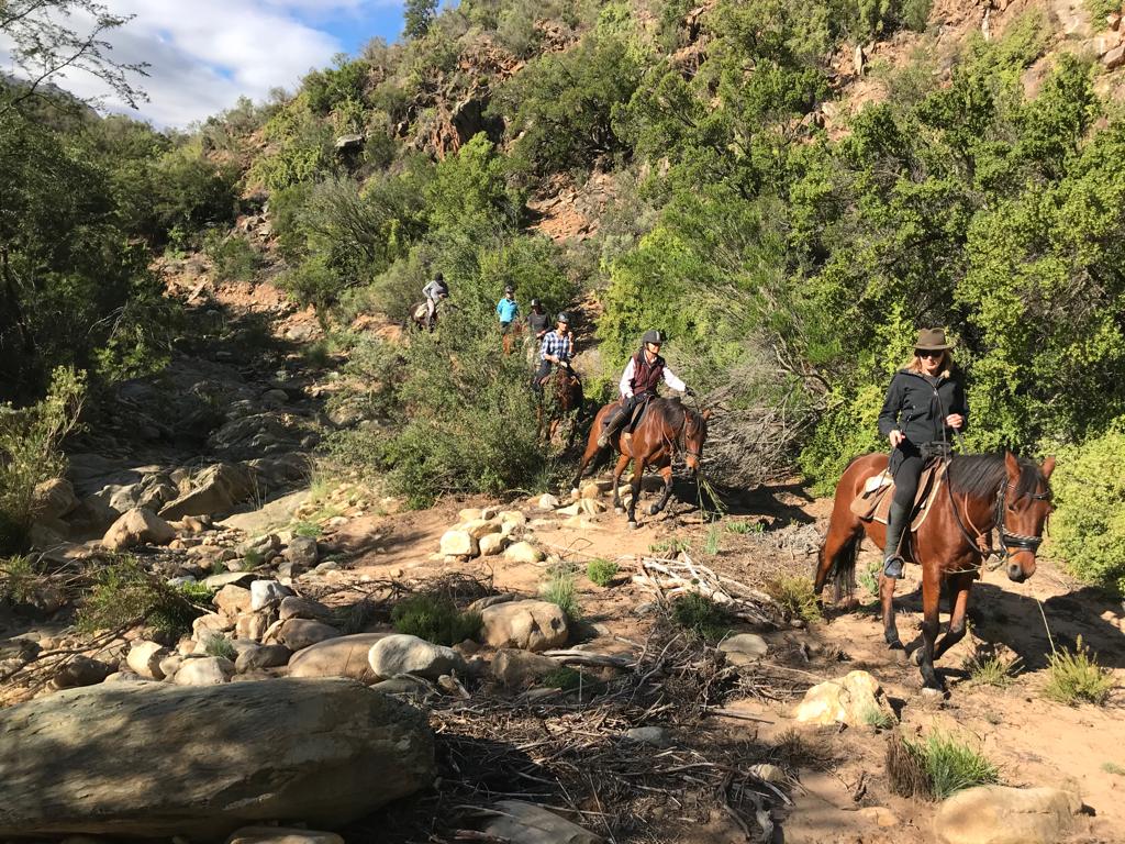 Buitenritten (evt. met overnachting) - Klein Karoo