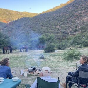 8-daagse paardrijtocht van de Klein Karoo naar de stranden van de Garden Route. - Afbeelding 4